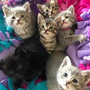 Meet your Posher, Kassi